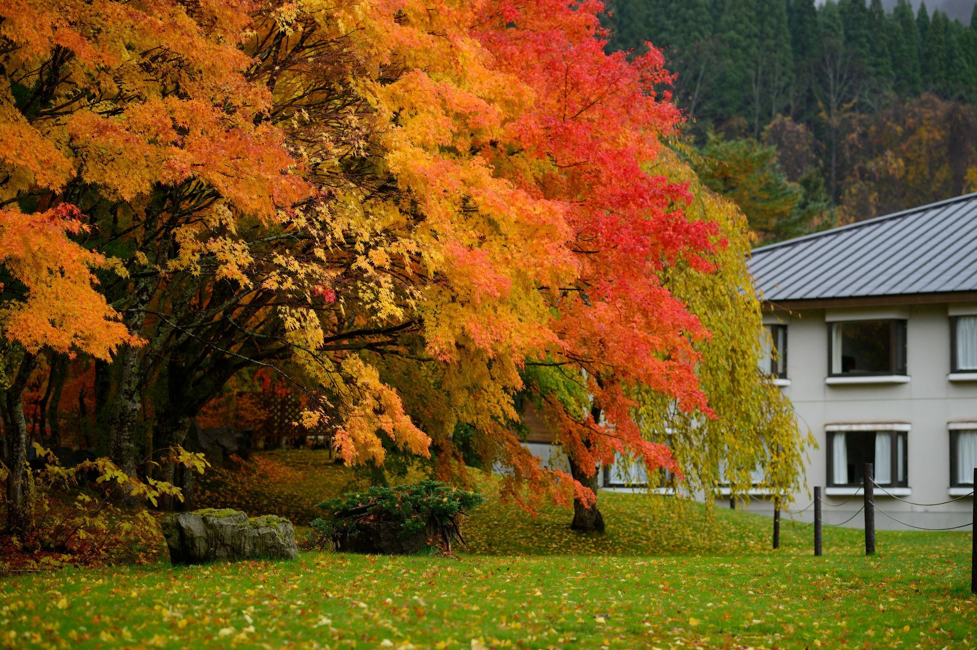Towada Prince Hotel Kosaka Экстерьер фото